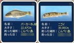 image_vdf49Jp71OA.jpg